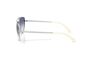 Zijaanzicht Ralph Lauren RL7090 (90017B)