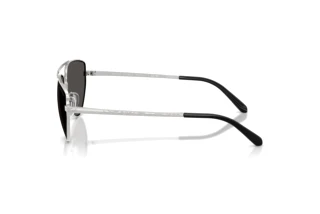 Zijaanzicht Ralph Lauren RL7090 (900187)
