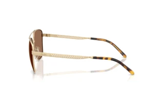 Zijaanzicht Ralph Lauren RL7091 (947873)