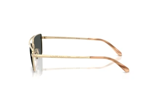 Zijaanzicht Ralph Lauren RL7092 (911687)