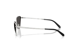 Zijaanzicht Ralph Lauren RL7093 (900187)