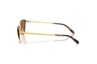 Zijaanzicht Ralph Lauren RL7093 (900473)