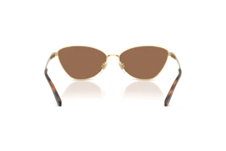 Achteraanzicht Ralph Lauren RL7093 (900473)