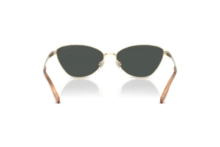 Achteraanzicht Ralph Lauren RL7093 (911687)