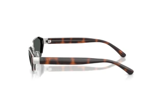 Zijaanzicht Ralph Lauren RL7094 (900187)
