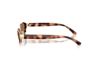 Zijaanzicht Ralph Lauren RL7094 (911673)