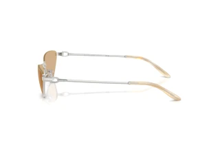 Zijaanzicht Ralph Lauren RL7095 (9001/8)