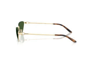 Zijaanzicht Ralph Lauren RL7095 (911671)