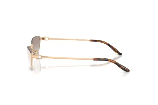 Zijaanzicht Ralph Lauren RL7095 (94876E)