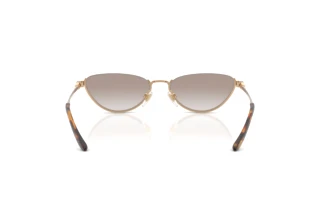 Achteraanzicht Ralph Lauren RL7095 (94876E)
