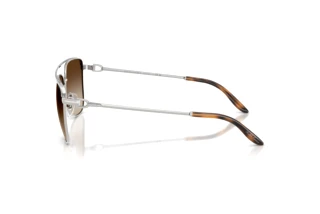 Zijaanzicht Ralph Lauren RL7096 (900113)