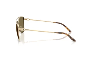 Zijaanzicht Ralph Lauren RL7096 (911673)