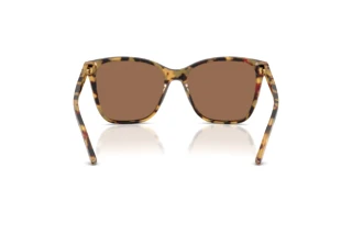Achteraanzicht Ralph Lauren RL8201 (500473)