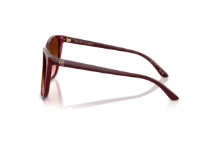 Zijaanzicht Ralph Lauren RL8201 (591274)