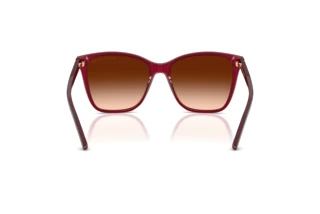 Achteraanzicht Ralph Lauren RL8201 (591274)
