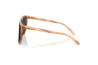 Zijaanzicht Ralph Lauren RL8201 (617987)