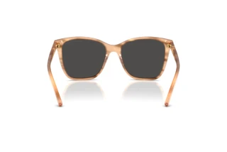 Achteraanzicht Ralph Lauren RL8201 (617987)