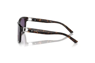 Zijaanzicht Ralph Lauren RL8203QU (50031A)