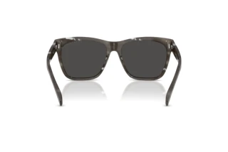 Achteraanzicht Ralph Lauren THE RICKY II (RL8212 - 617587)