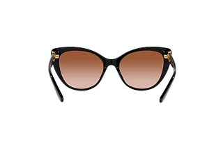 Achteraanzicht Ralph Lauren RL8215BU (500113)
