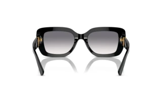Achteraanzicht Ralph Lauren THE NIKKI (RL8217U - 500179)