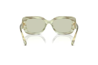 Achteraanzicht Ralph Lauren THE NIKKI (RL8217U - 6109/2)