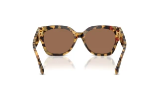 Achteraanzicht Ralph Lauren THE OVERSZED RICKY (RL8221 - 500473)