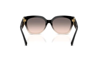 Achteraanzicht Ralph Lauren THE OVERSZED RICKY (RL8221 - 60223B)
