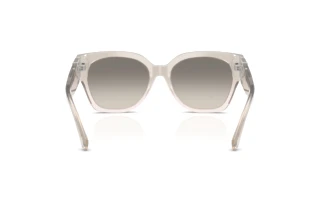 Achteraanzicht Ralph Lauren THE OVERSZED RICKY (RL8221 - 611208)