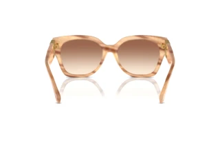 Achteraanzicht Ralph Lauren THE OVERSZED RICKY (RL8221 - 617913)