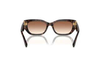 Achteraanzicht Ralph Lauren THE BRIDGET (RL8222 - 500313)