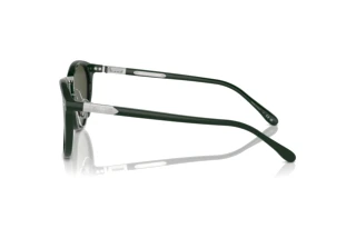 Zijaanzicht Ralph Lauren THE QUINCY (RL8223 - 614031)