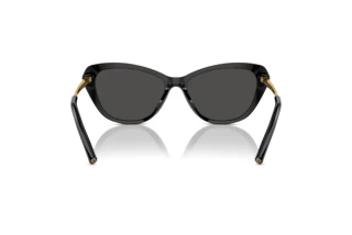 Achteraanzicht Ralph Lauren THE ELLA (RL8224U - 500187)