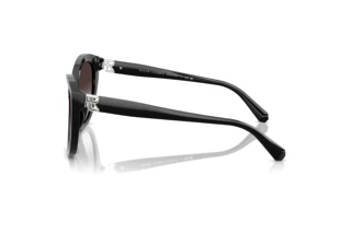Zijaanzicht Ralph Lauren RL8225U (50018G)