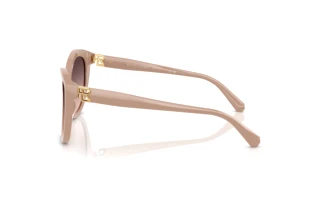 Zijaanzicht Ralph Lauren RL8225U (6218U8)