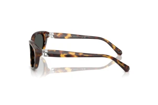 Zijaanzicht Ralph Lauren RL8226U (513487)
