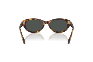 Achteraanzicht Ralph Lauren RL8226U (513487)