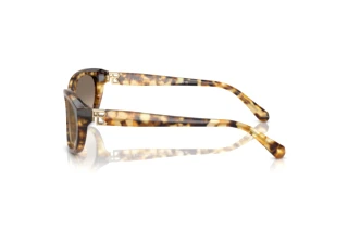Zijaanzicht Ralph Lauren RL8226U (60566Y)