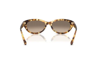 Achteraanzicht Ralph Lauren RL8226U (60566Y)