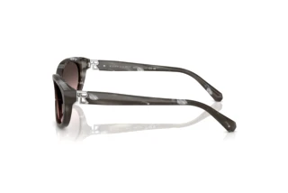 Zijaanzicht Ralph Lauren RL8226U (617546)