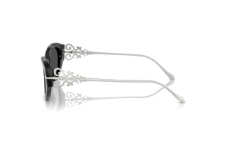 Zijaanzicht Ralph Lauren RL8227U (500187)
