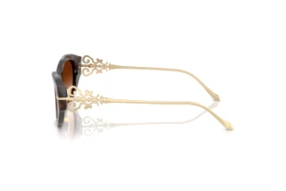 Zijaanzicht Ralph Lauren RL8227U (500374)