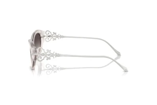 Zijaanzicht Ralph Lauren RL8227U (611208)