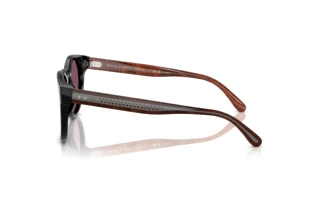 Zijaanzicht Ralph Lauren RL8229U (53981A)