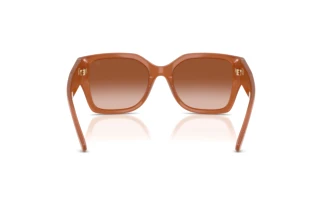 Achteraanzicht Ralph Lauren RL8230U (624413)