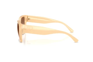 Zijaanzicht Ralph Lauren RL8230U (624513)