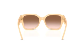 Achteraanzicht Ralph Lauren RL8230U (624513)