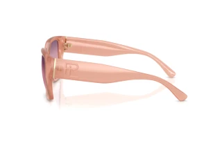 Zijaanzicht Ralph Lauren RL8230U (6281U8)
