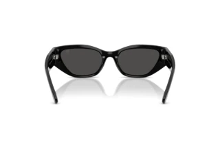 Achteraanzicht Ralph Lauren RL8231U (500187)
