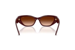 Achteraanzicht Ralph Lauren RL8231U (551674)